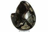 Septarian Dragon Egg Geode - Black Crystals #172798-3